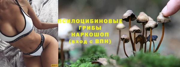 мет Зеленодольск