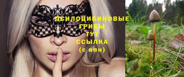 эйфоретик Зерноград