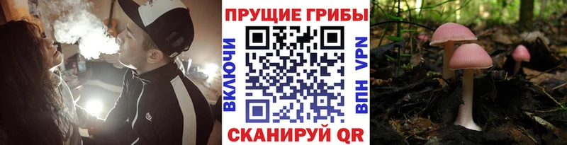 Галлюциногенные грибы ЛСД Новая Ляля