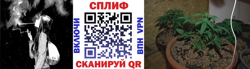 Бошки Шишки SATIVA & INDICA  Купить  Новая Ляля 